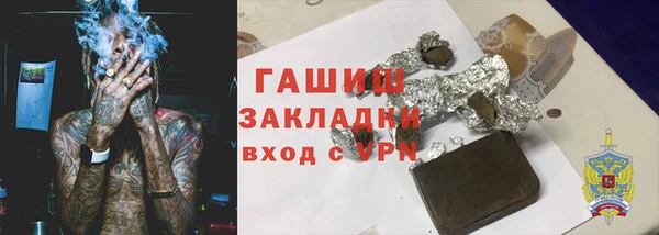 индика Бородино