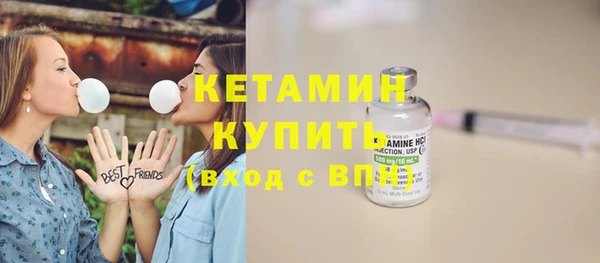 индика Бородино