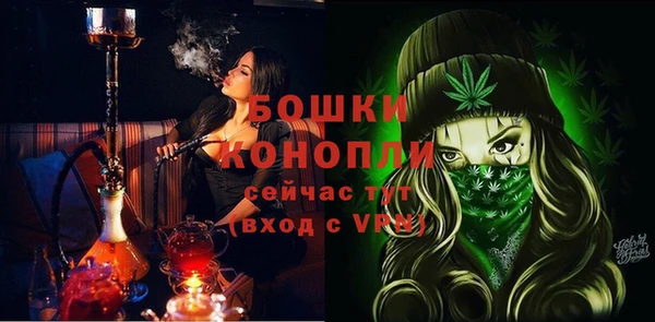 индика Бородино