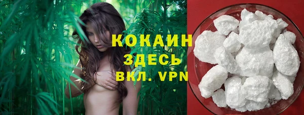 индика Бородино