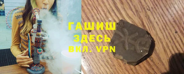 индика Бородино