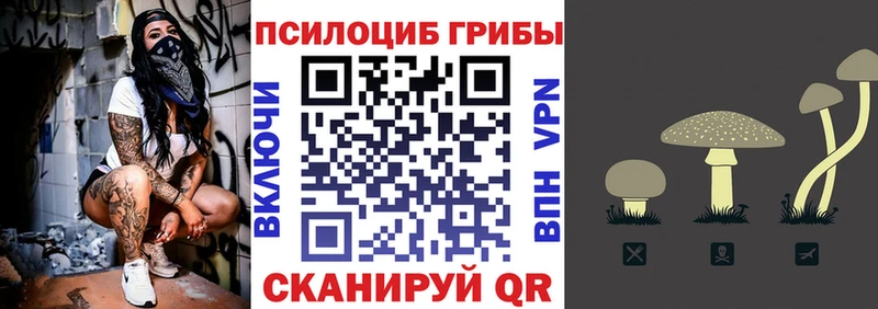 Псилоцибиновые грибы Psilocybe  Воскресенск 